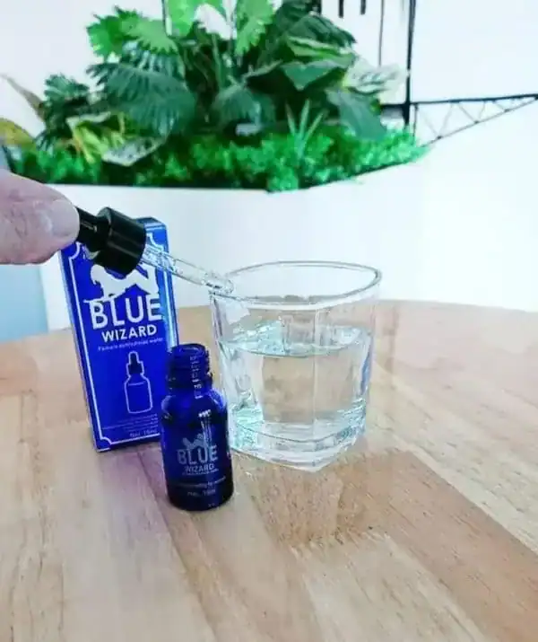 Feedback from Blue Wizard customers