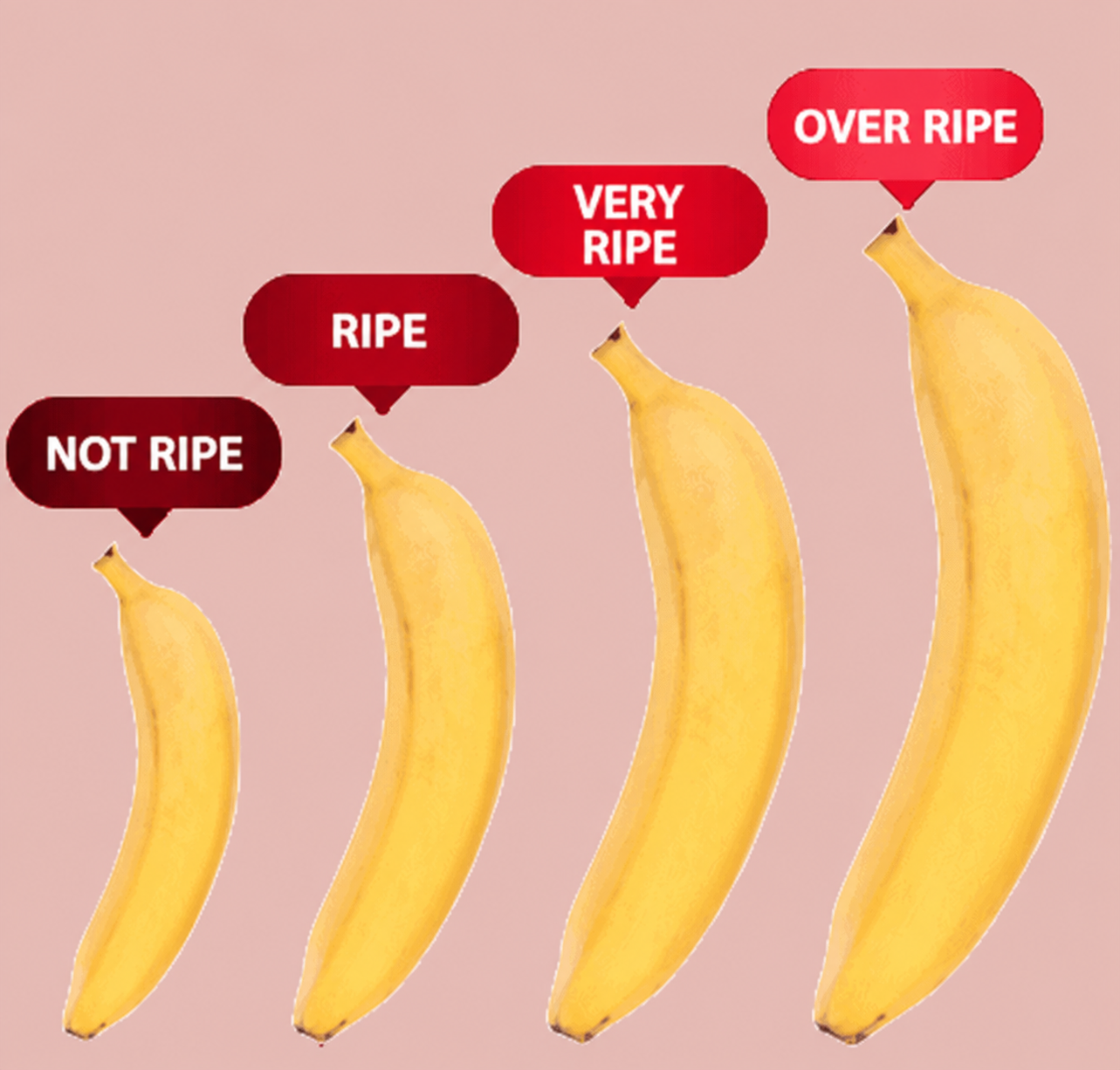 Size gradually improves with Maxzex use